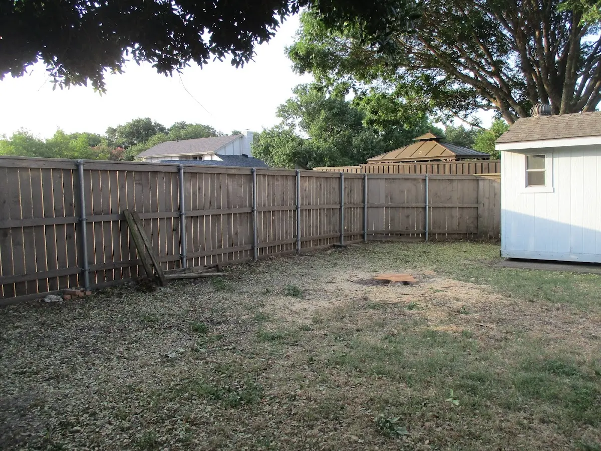 Cleared yard after professional tree removal in Manheim